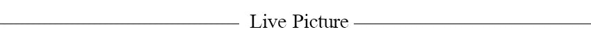 New Spaghetti Strap Sexy Prom Gowns Women's Sexy Backless Maxi Dress for Party Club Elegant Bodycon Ruched Long Dress Female